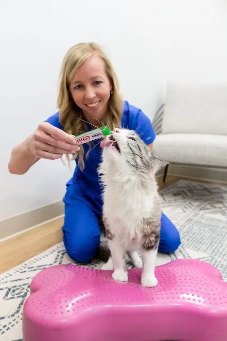 Walking Paws Rehab 8