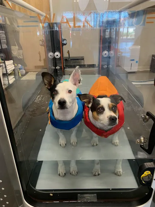 Walking Paws Rehab 9