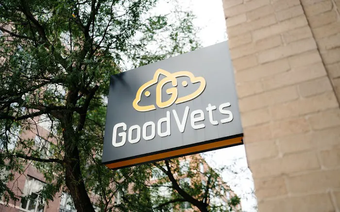 GoodVets RiNo 12
