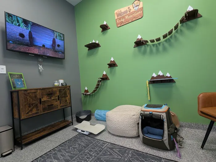 PetVet365 Pet Hospital Denver/Westminster 2