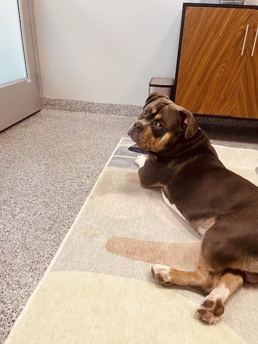 PetVet365 Pet Hospital Denver/Westminster 8
