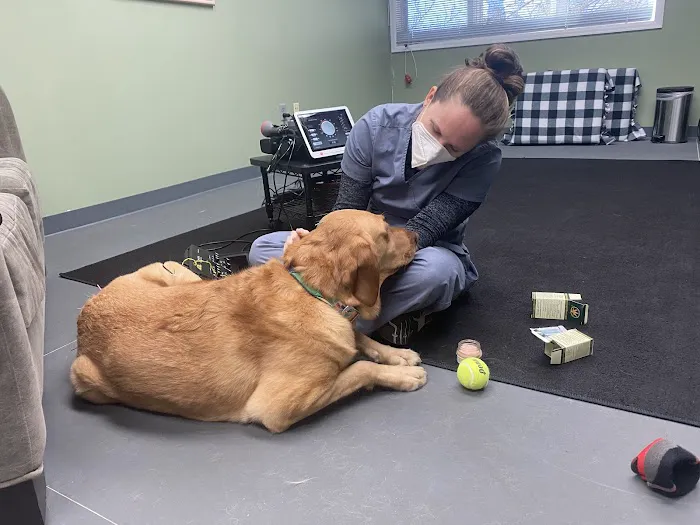 Balanced Animal Wellness, LLC 1