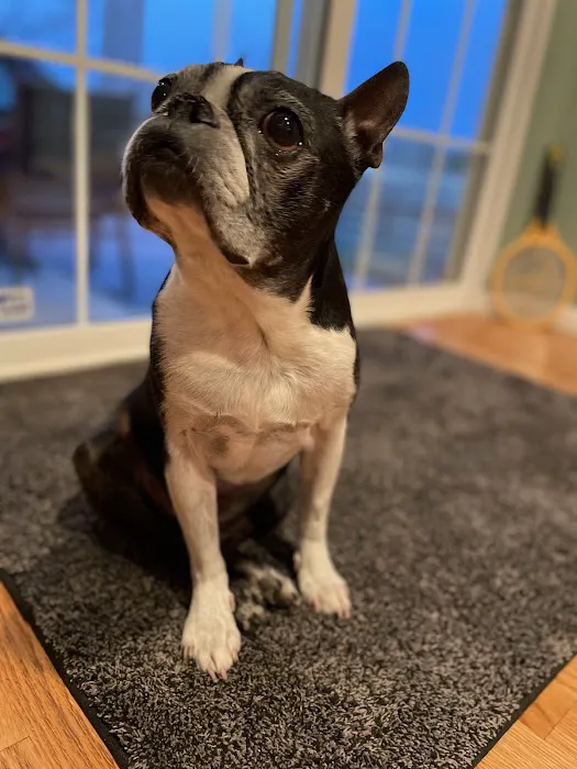 Balanced Animal Wellness, LLC 5