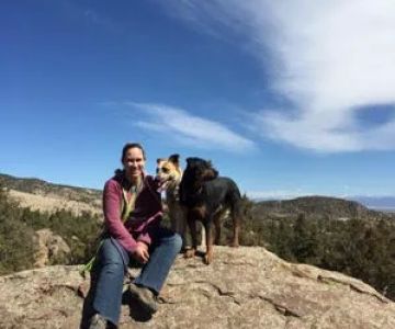 Church Ranch Veterinary Center