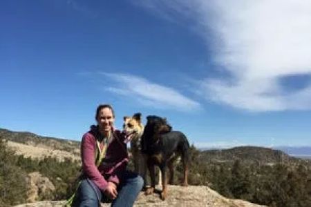 Church Ranch Veterinary Center