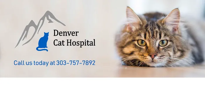 Denver Cat Hospital 12