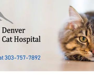 Denver Cat Hospital