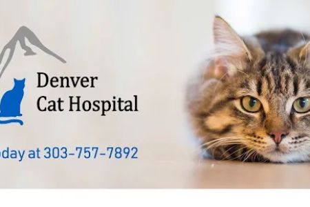 Denver Cat Hospital