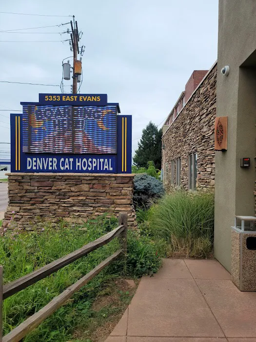 Denver Cat Hospital 12