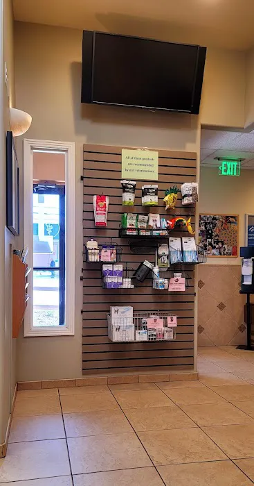 Denver Cat Hospital 12