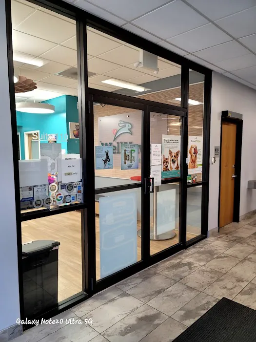 WellHaven Pet Health Colorado Blvd 8