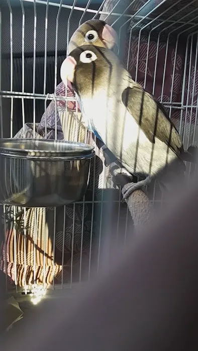 Colorado Exotic Animal Hospital 3