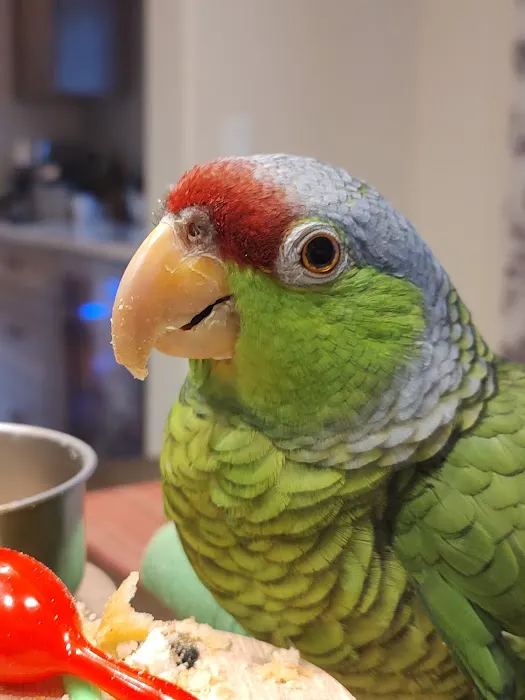 Colorado Exotic Animal Hospital 6