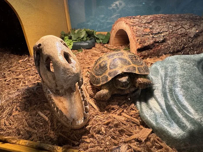 Colorado Exotic Animal Hospital 4