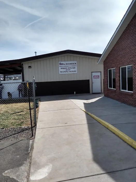 All Brick Veterinary Clinic LLC 9
