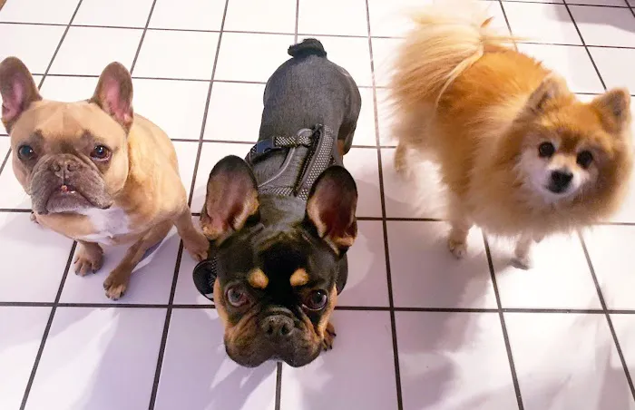 Banfield Pet Hospital 12