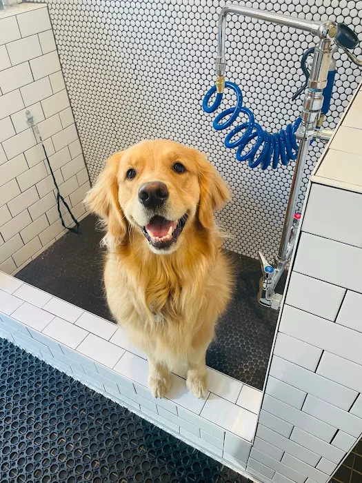 MoVET @ Belleview Station 1