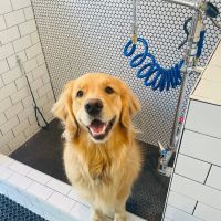 MoVET @ Belleview Station ico