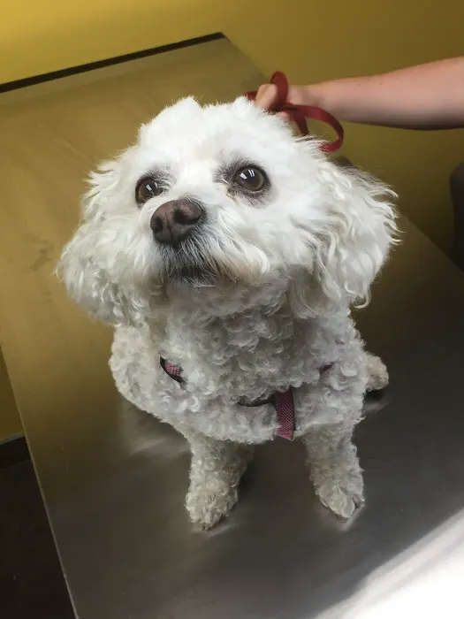 Liberty Animal Hospital 4