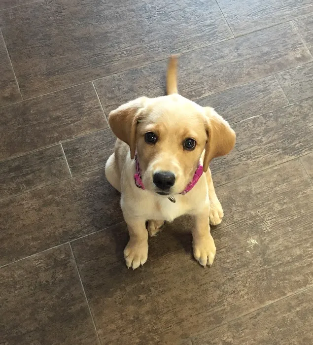 Liberty Animal Hospital 7
