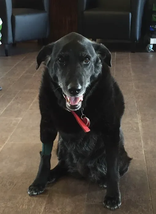 Liberty Animal Hospital 3