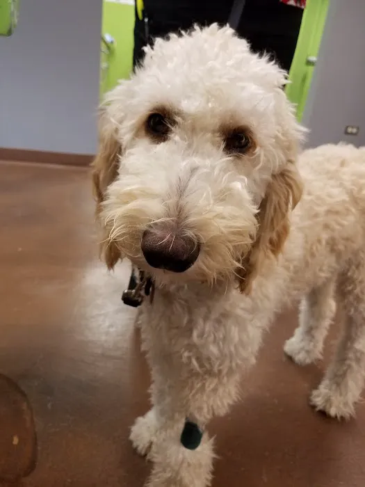 Liberty Animal Hospital 10
