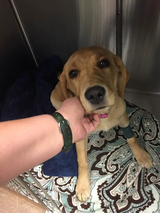 Liberty Animal Hospital 8