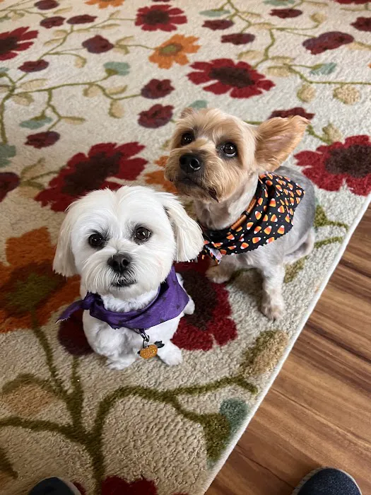 Banfield Pet Hospital 12