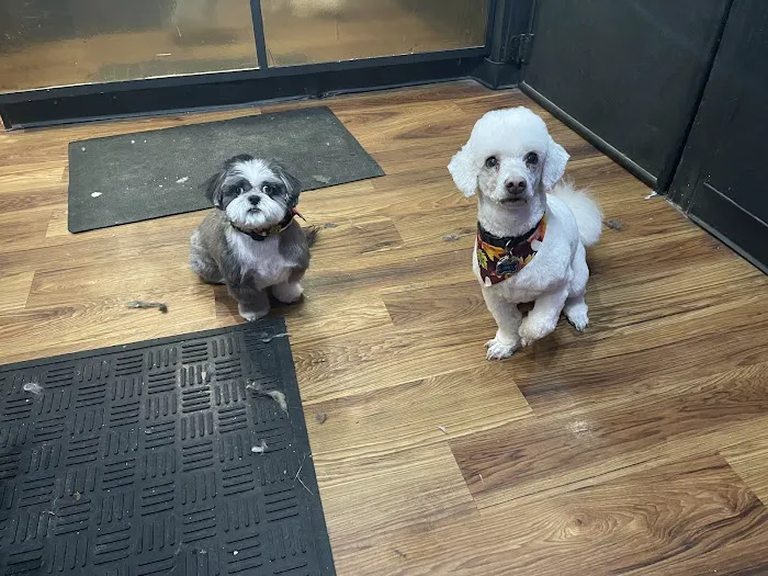 Banfield Pet Hospital 12