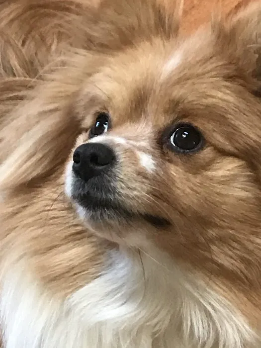 Banfield Pet Hospital 12