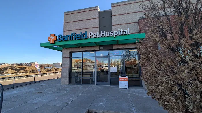 Banfield Pet Hospital 12