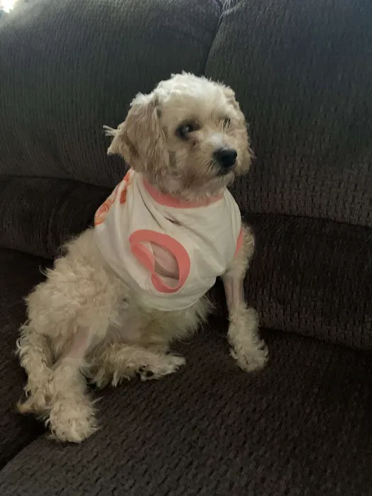 Banfield Pet Hospital 12