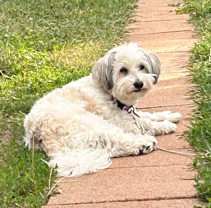 Banfield Pet Hospital 12