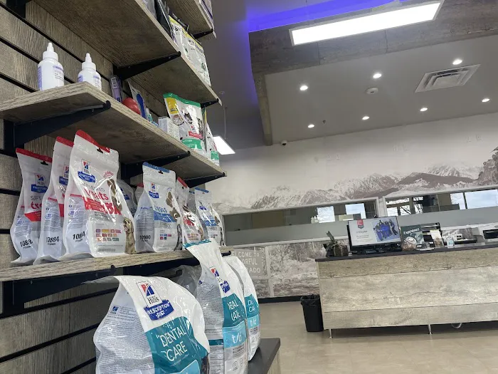 CityVet | Westminster + Urgent Care 6