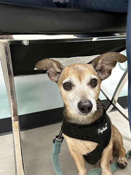 CityVet | Westminster + Urgent Care 7