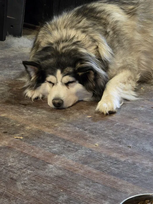 CityVet | Westminster + Urgent Care 5