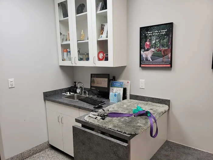 Aspen Arbor Animal Hospital 4