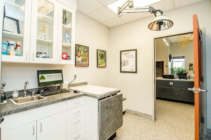 Aspen Arbor Animal Hospital 6