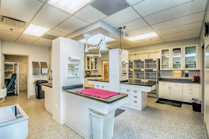 Aspen Arbor Animal Hospital 3