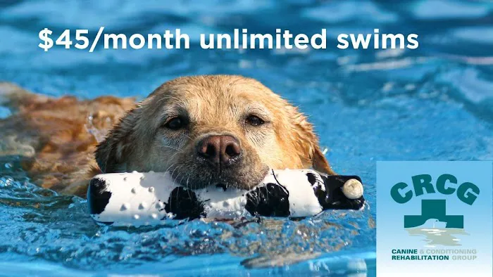 Canine Rehabilitation & Conditioning Group LLC 12