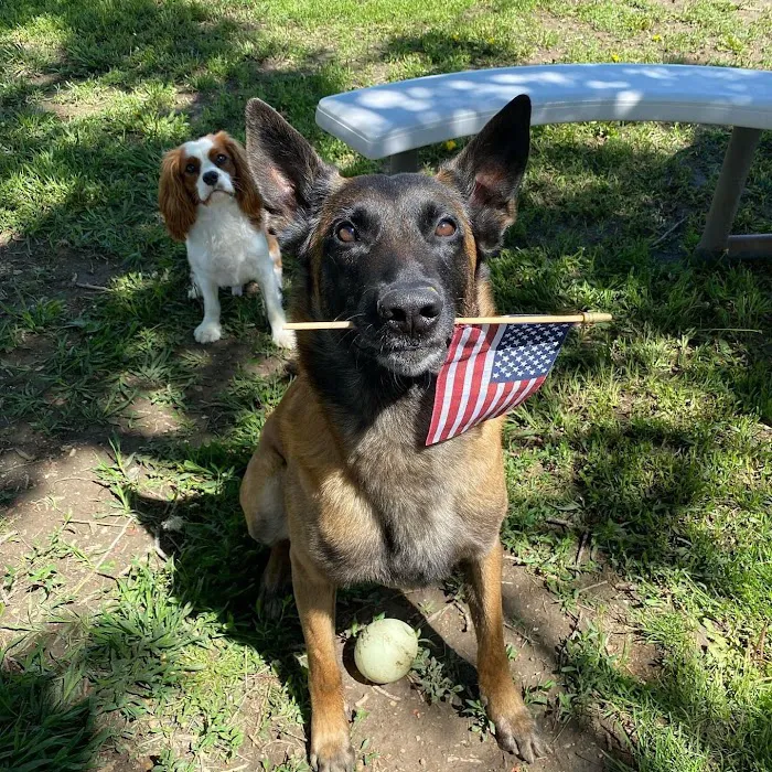 Canine Rehabilitation & Conditioning Group LLC 12