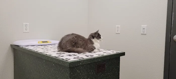 Animal Clinic-North 12