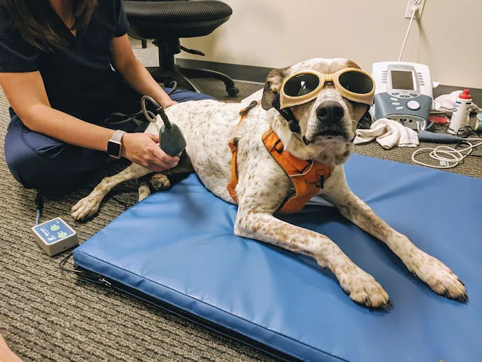 OrthoPets Veterinary Orthotics and Prosthetics Center 1