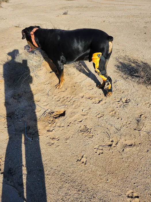 OrthoPets Veterinary Orthotics and Prosthetics Center 2