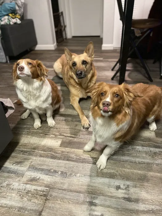 Banfield Pet Hospital 4