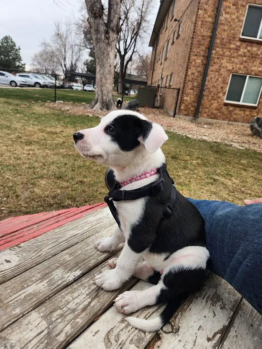 Banfield Pet Hospital 10