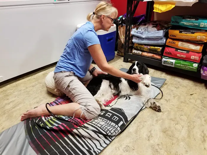 Four Paws Holistic Therapy 7