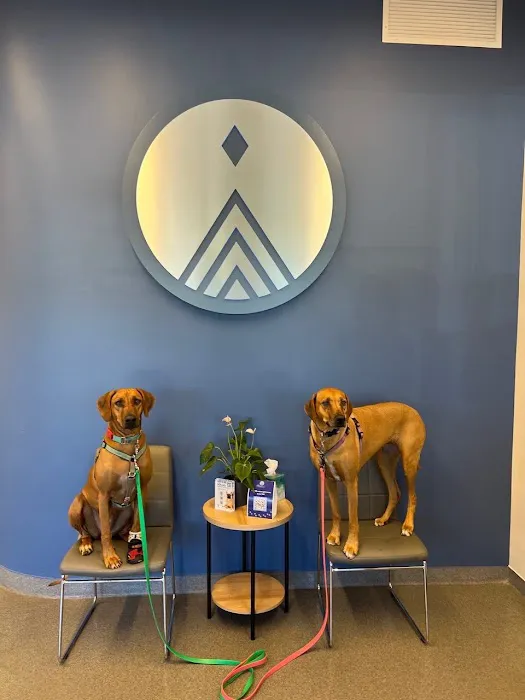Mountain Star Veterinary Specialists 2