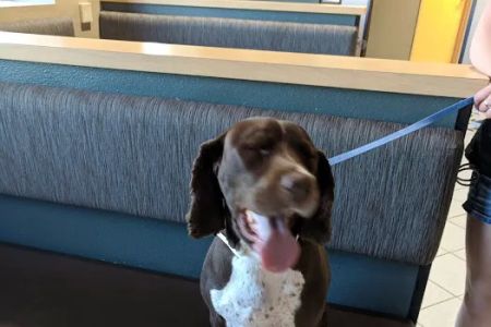 VRCC Veterinary Specialty and Emergency Hospital (Radiation Oncology)