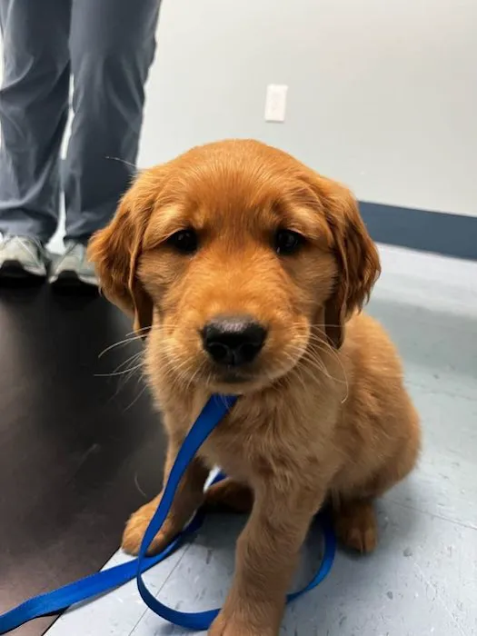Columbine Animal Hospital 8
